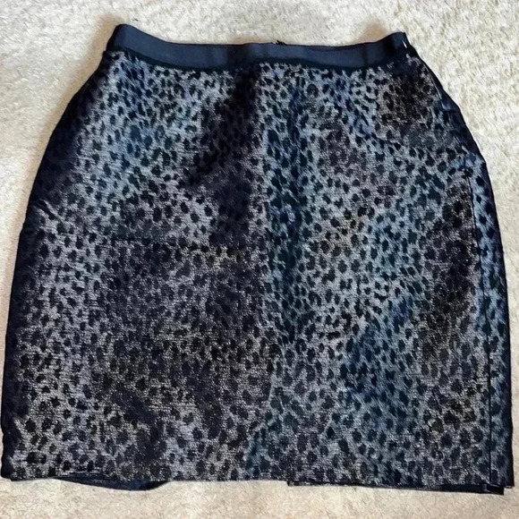 ANN TAYLOR skirt size 2 - Picture 1 of 3